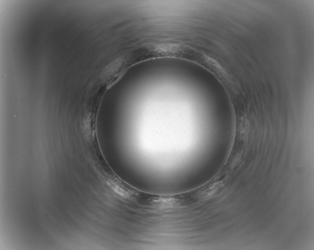 X0000076320428200609291059