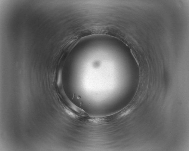 X0000076320432200609291059