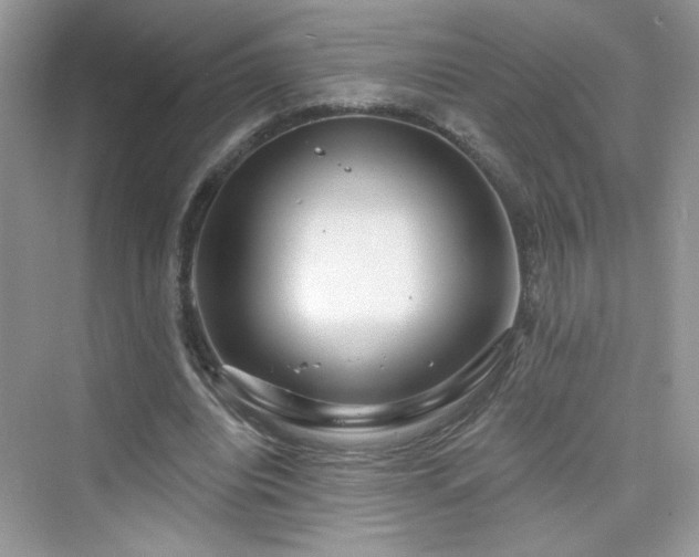 X0000076320440200609291058