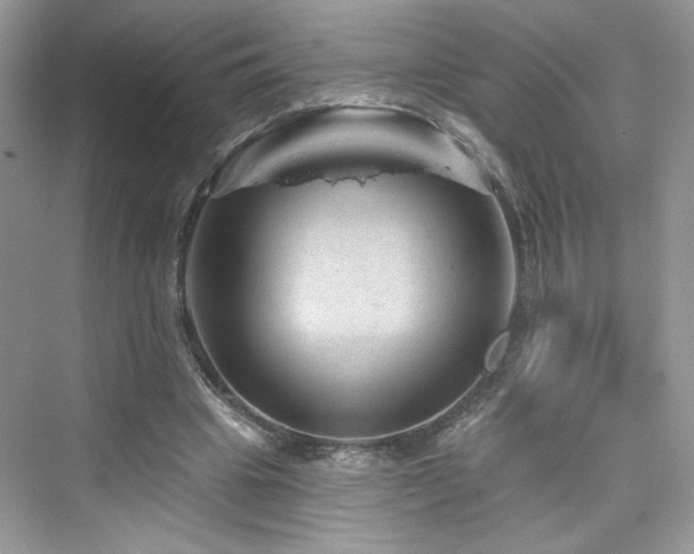 X0000076320441200609291058