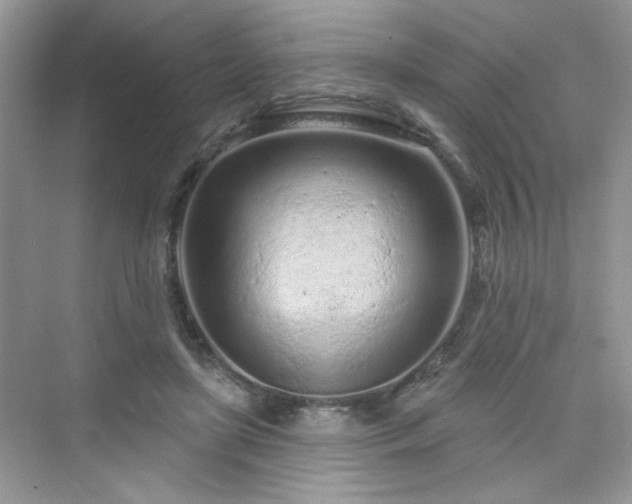 X0000076320451200609291058