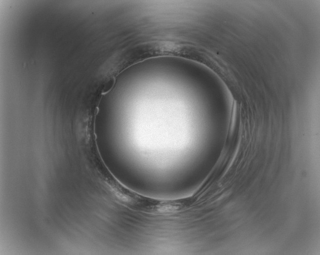X0000076320462200609291058