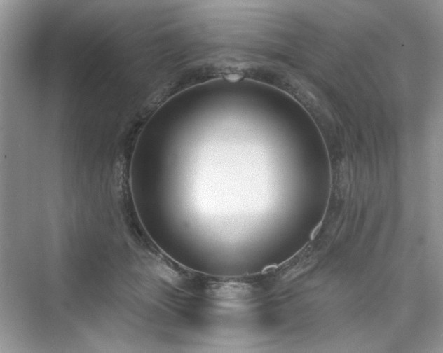 X0000076320463200609291058