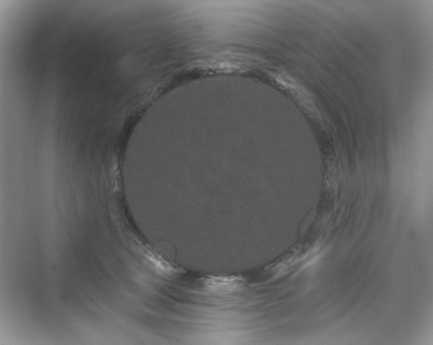 X0000076320465200609291058
