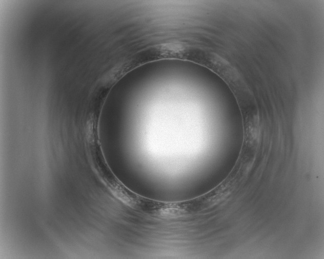 X0000076320468200609291059