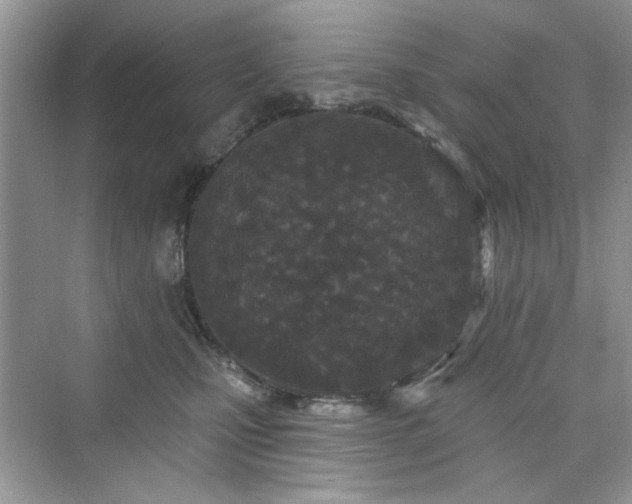 X0000076320471200609291059