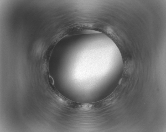 X0000076320474200609291059