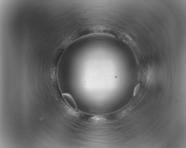 X0000076320477200609291059