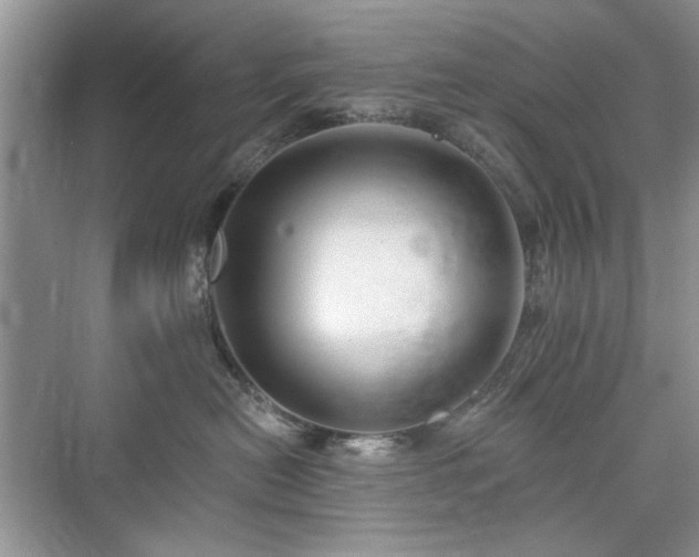 X0000076320478200609291059