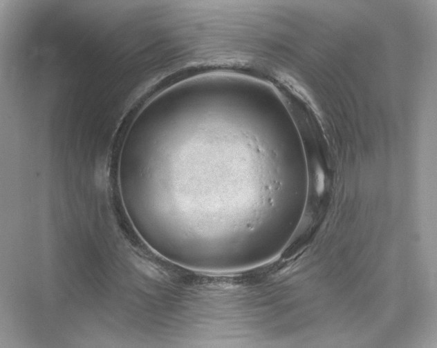 X0000076320483200609291058