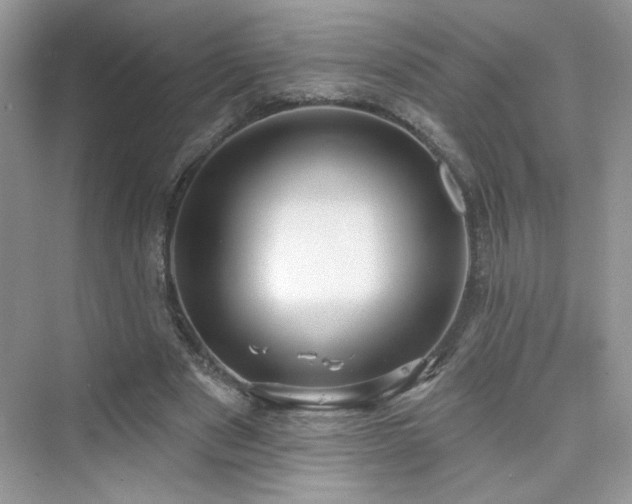 X0000076320489200609291058