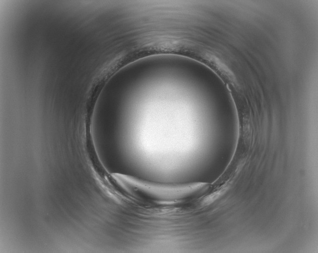 X0000076320493200609291058