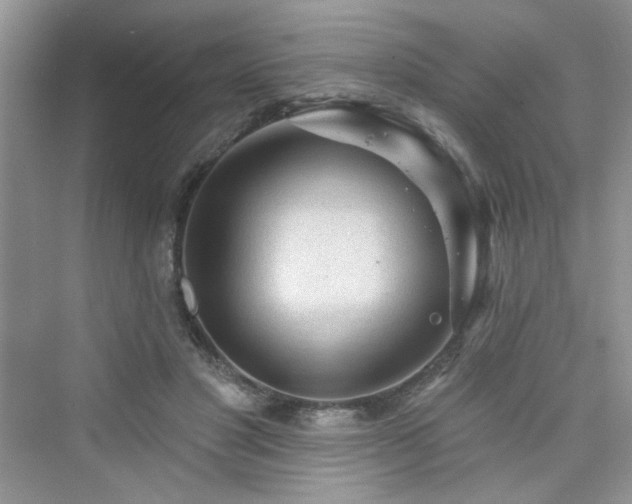X0000076320501200609291058