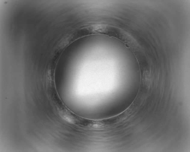 X0000076320506200609291058