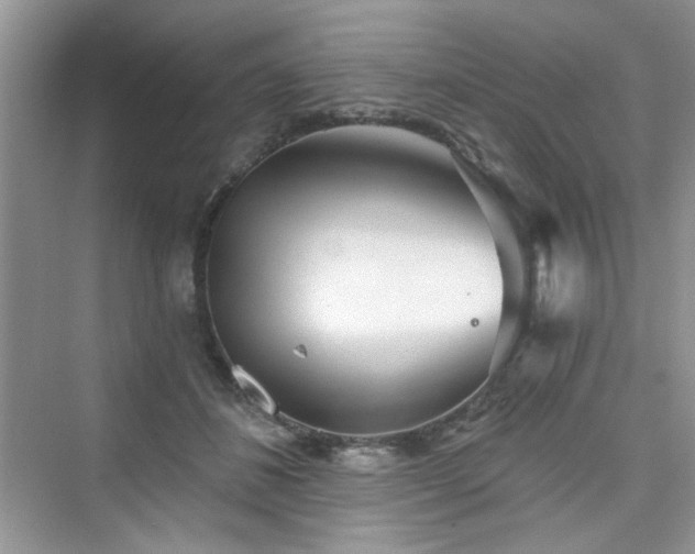X0000076320508200609291057