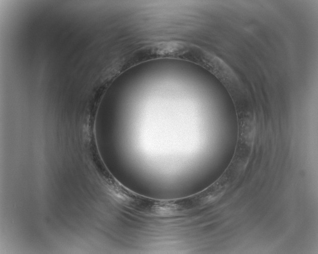 X0000076320510200609291057