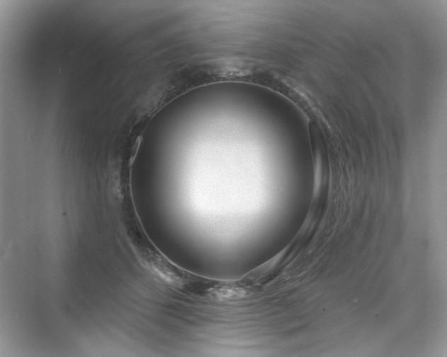 X0000076320512200609291057