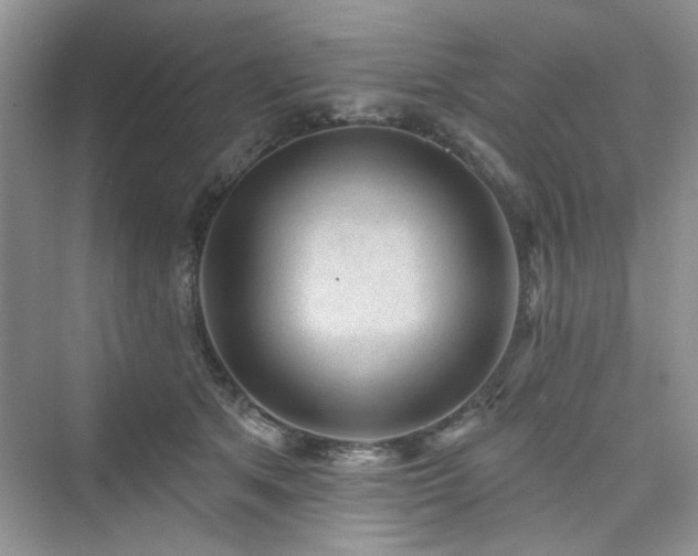 X0000076320513200609291057