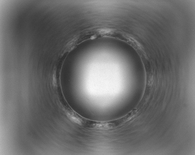 X0000076320524200609291057