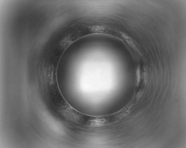 X0000076320525200609291057