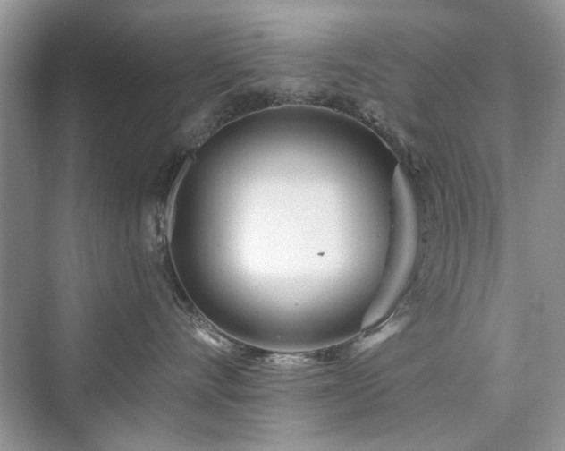 X0000076320528200609291057