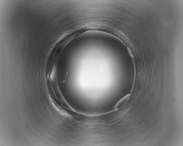 X0000076320530200609291056