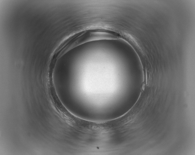 X0000076320531200609291056
