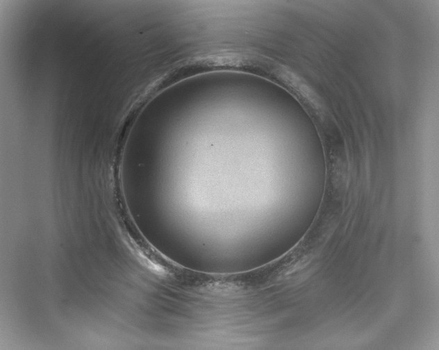 X0000076320537200609291056