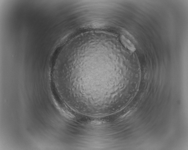 X0000076320542200609291057