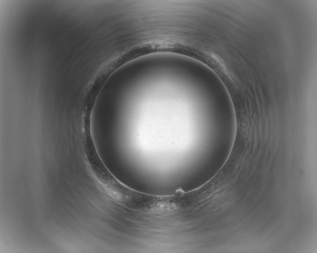 X0000076320543200609291057