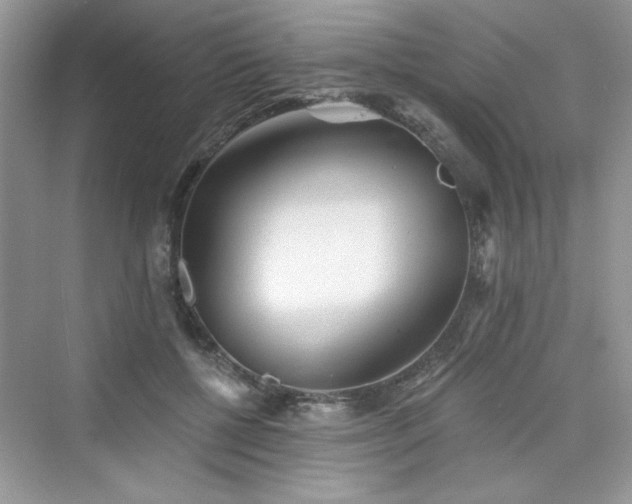 X0000076320552200609291057