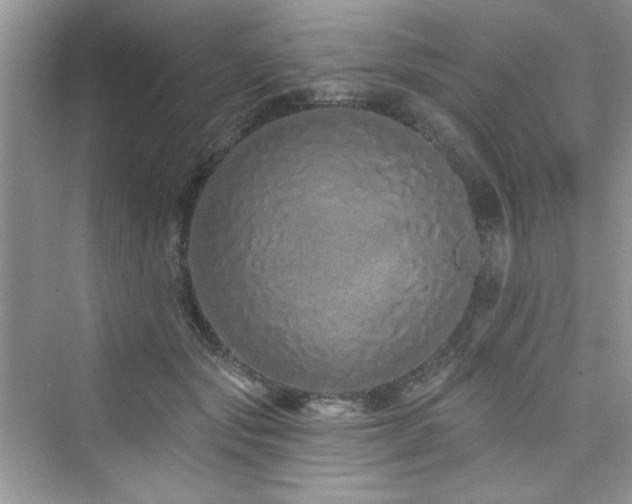 X0000076320557200609291057