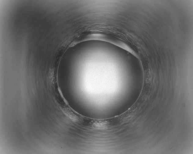 X0000076320560200609291057