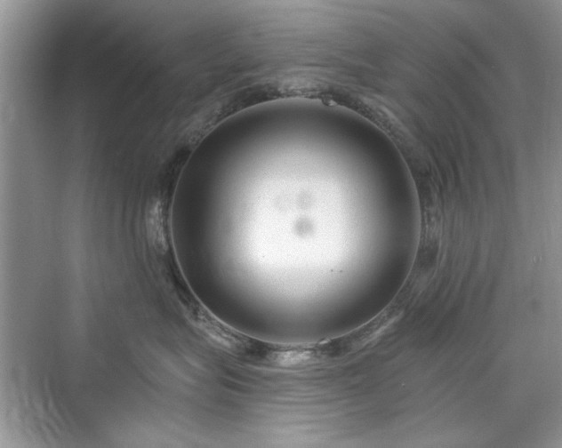 X0000076320575200609291057