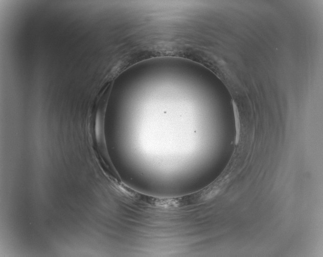 X0000076320576200609291057