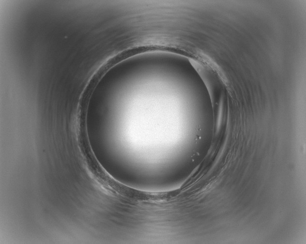 X0000076320580200609291056