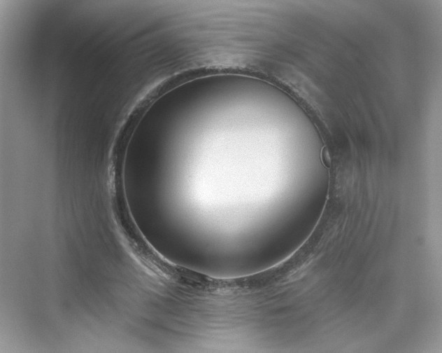X0000076320584200609291056