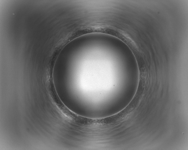 X0000076320593200609291056