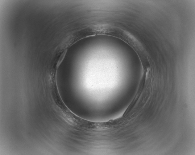 X0000076320601200609291056