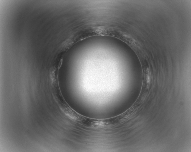 X0000076320611200609291056