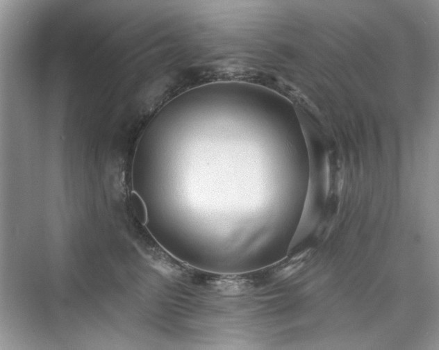 X0000076320615200609291056