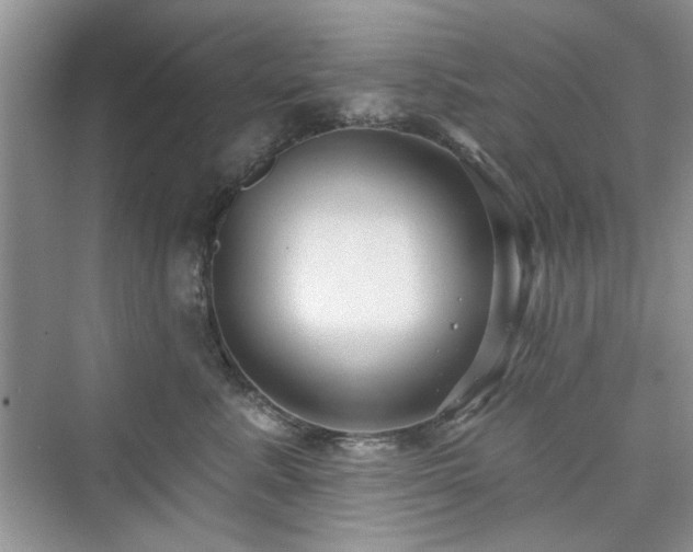 X0000076320619200609291056