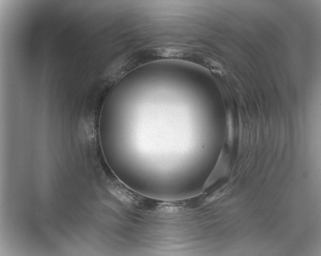 X0000076320620200609291056