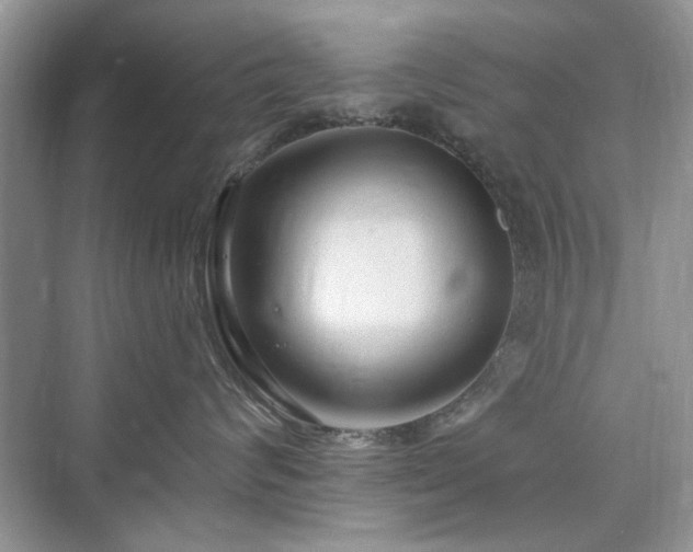 X0000076320624200609291056