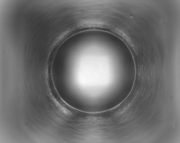 X0000076320629200609291055