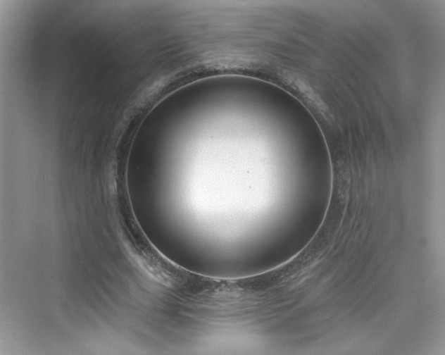 X0000076320631200609291055