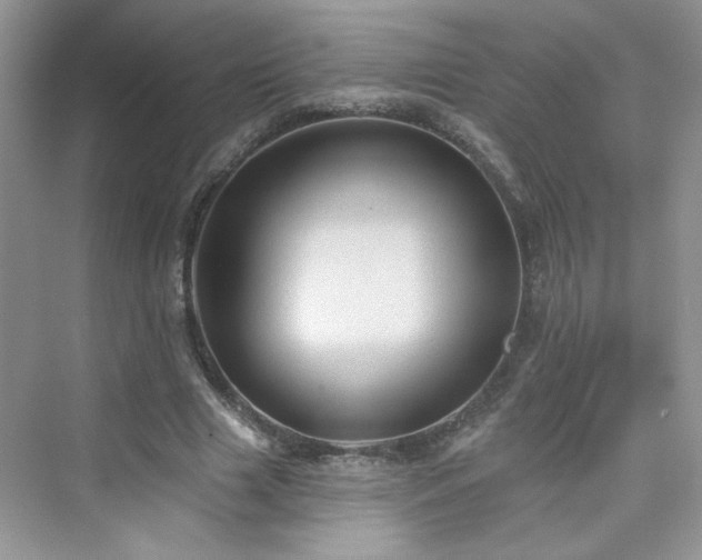 X0000076320633200609291055