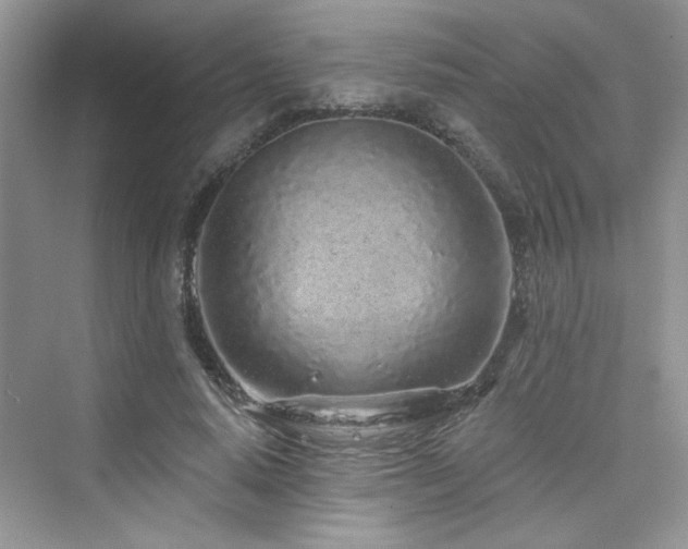 X0000076320640200609291055