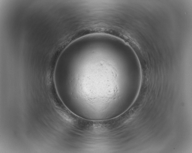 X0000076320641200609291055