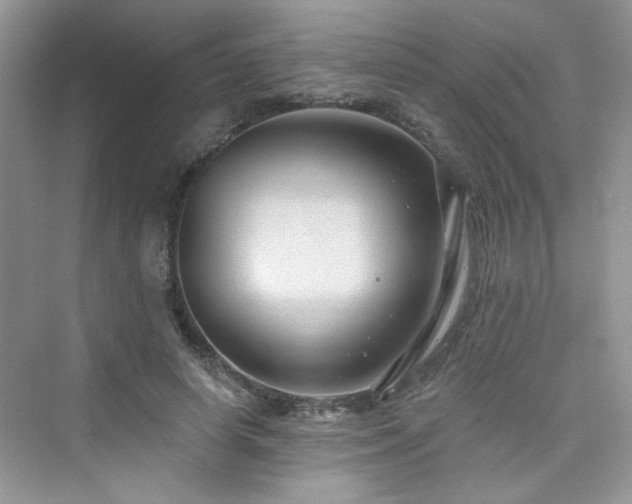 X0000076320642200609291055